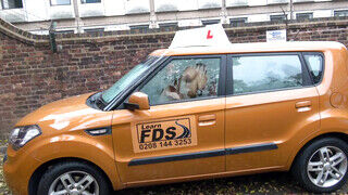 Fake Driving School - Louise Lee kedveli a gigantikus kukacot