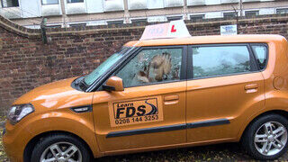 Fake Driving School Amber Rayne esete a óriási néger fasszal