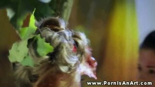 Dupla forró csajszika nyaldosja a punciját a szabadban